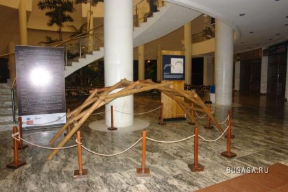 Увеличить картинку