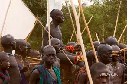 Увеличить картинку