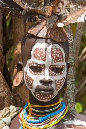 Увеличить картинку