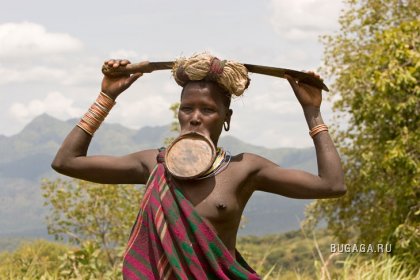 Увеличить картинку