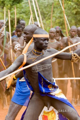 Увеличить картинку