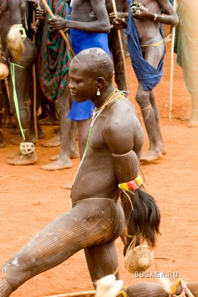 Увеличить картинку