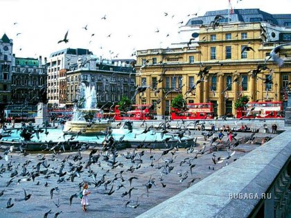 Увеличить картинку