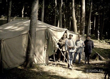 Увеличить картинку