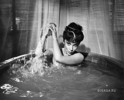 Красавицы 40-х