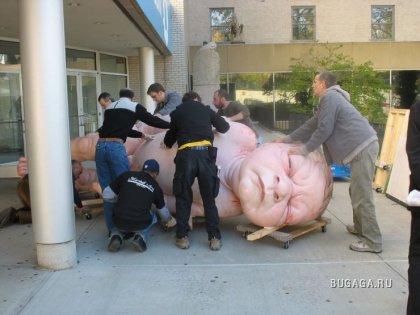 Ron Mueck (27 фото)