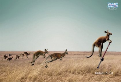 Креативная реклама ...