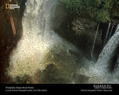 Фотографии от National Geographic(часть 2)