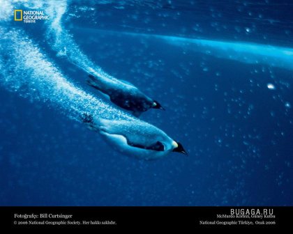 Фотографии от National Geographic(часть 2)