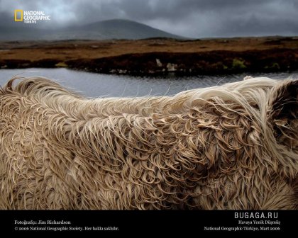 Фотографии от National Geographic(часть 2)