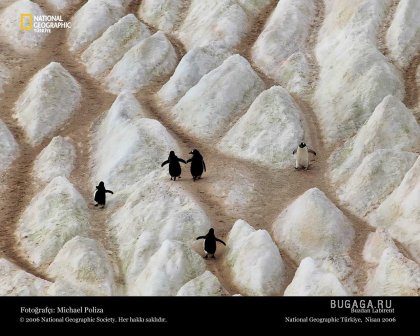 Фотографии от National Geographic(часть 2)