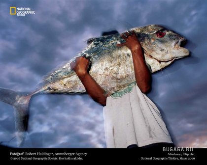 Фотографии от National Geographic(часть 2)