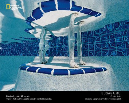Фотографии от National Geographic(часть 2)
