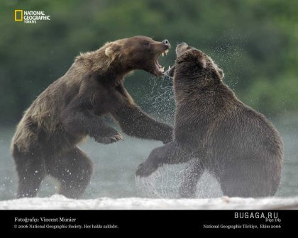 Фотографии от National Geographic(часть 2)