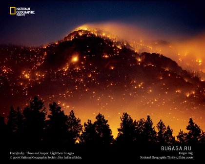Фотографии от National Geographic(часть 2)