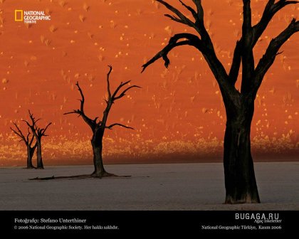 Фотографии от National Geographic(часть 2)