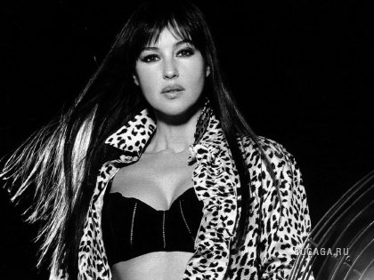 WALLPAPERS WITH MONICA BELLUCCI