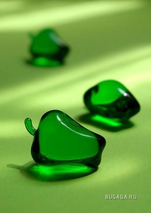 Зеленый цвет жизни