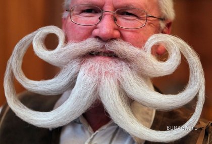 Прикольные картинки (40 фото) 