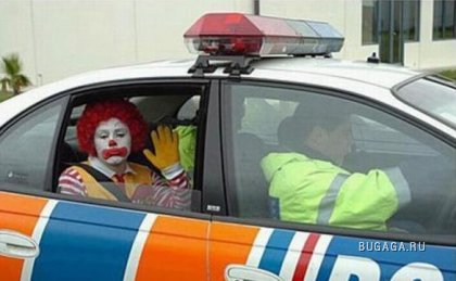 Забавные аресты