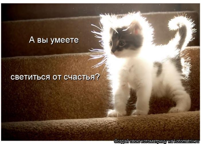 http://www.bugaga.ru/uploads/posts/2010-09/1284943003_kotomatrix-4.jpg