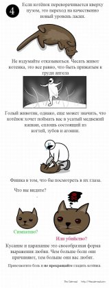 Как правильно ласкать котенка