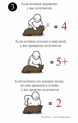 Как правильно ласкать котенка