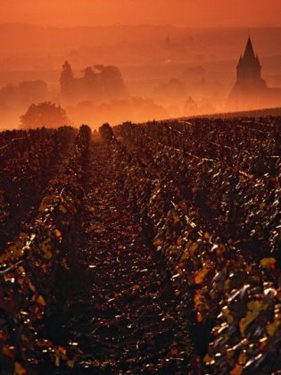 Фото-путешествие: Франция