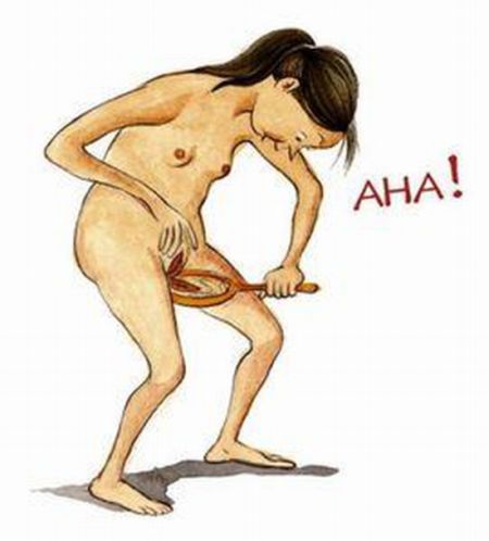 Книга Писек