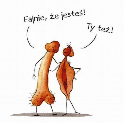 Книга Писек