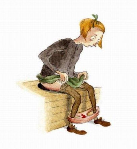 Книга Писек