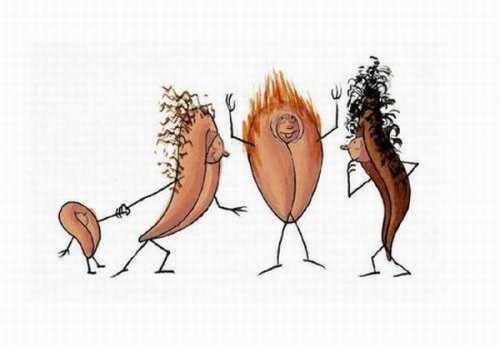 Книга Писек