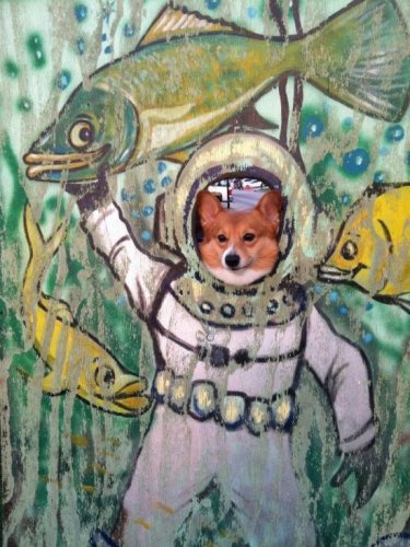 Веселости бугага