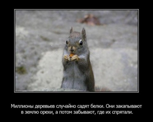 Интересности в картинках (часть 3)