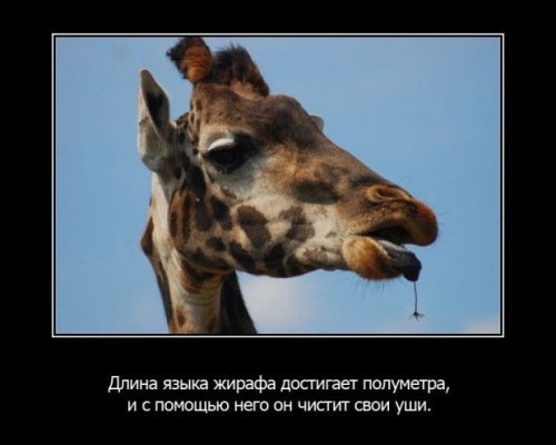 Интересности в картинках (часть 3)