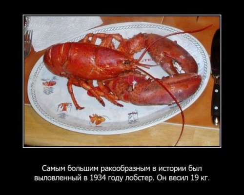 Интересности в картинках (часть 3)