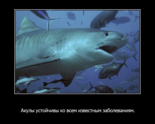 Интересности в картинках (часть 3)