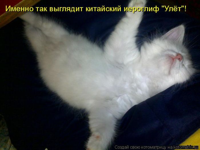 http://www.bugaga.ru/uploads/posts/2011-10/1318575136_2.jpg