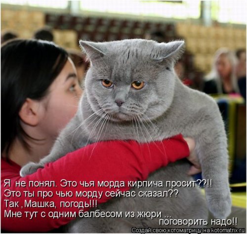 Удивительные иностранные слова