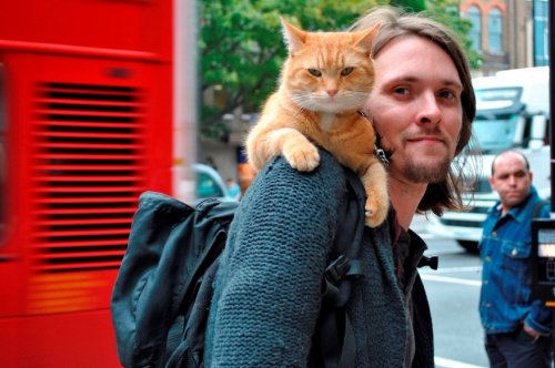 История уличного музыканта и бродячего кота, ставшая книгой-бестселлером
