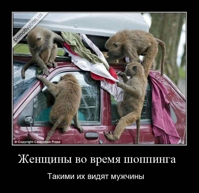http://www.bugaga.ru/uploads/posts/2013-01/1358414434_demotivatory-9.jpg