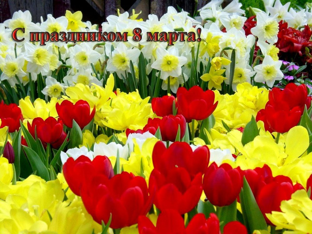 http://www.bugaga.ru/uploads/posts/2013-03/1362639054_kartinki-pozdravleniya-na-8-marta-10.jpg