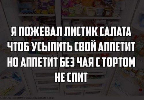 Фото приколы и картинки для всех (77 шт)