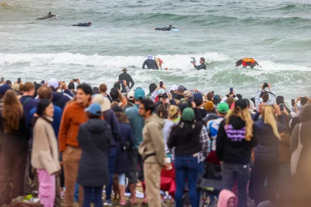 В Калифорнии прошёл ежегодный Чемпионат мира по сёрфингу среди собак (13 фото)