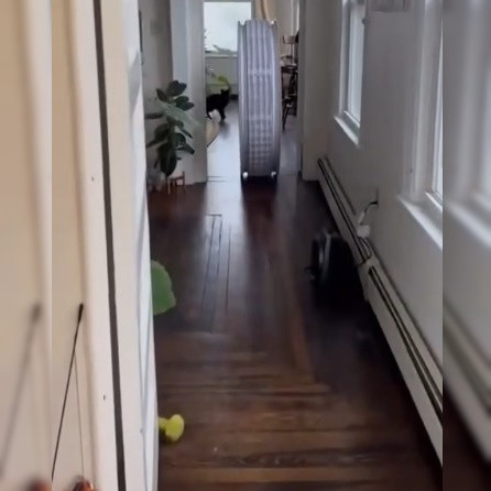 «Сэр, ваши водительские права, пожалуйста»