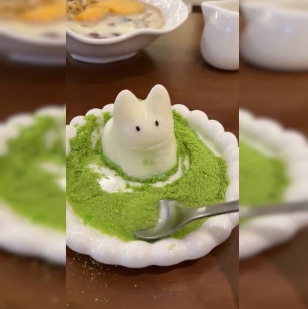 «Он уже наелся!»