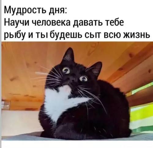 Просто потому что можно — мемы | Bugaga